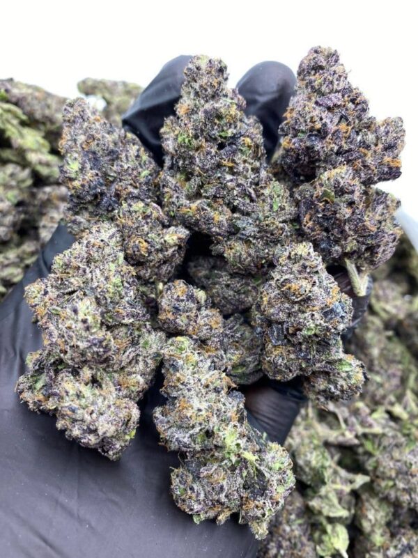 Rainbow Sherbet – Order Weed Online – Get Cannabis Delivery & Pickup