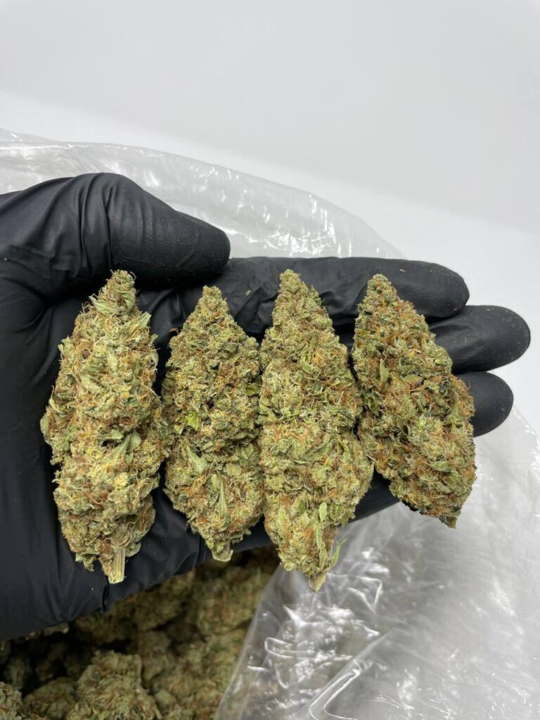 Oaxacan Highland – Order Weed Online – Get Cannabis Delivery & Pickup