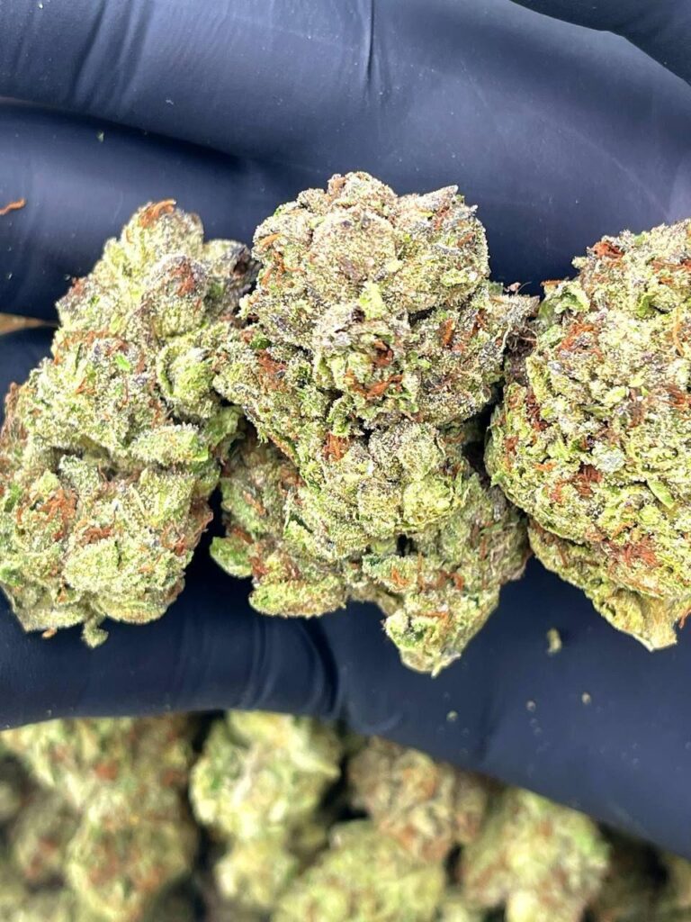 Amnesia Haze – Order Weed Online – Get Cannabis Delivery & Pickup